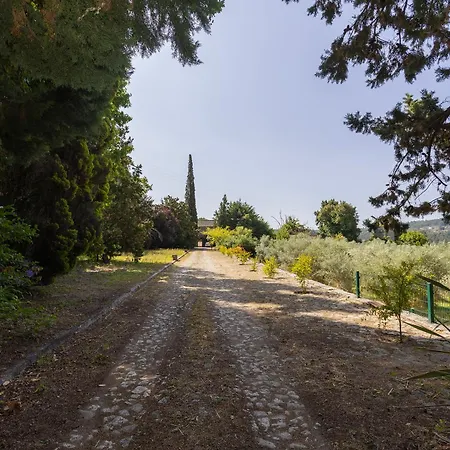 Quinta Da Comenda - Casa Da Tuia São Pedro do Sul