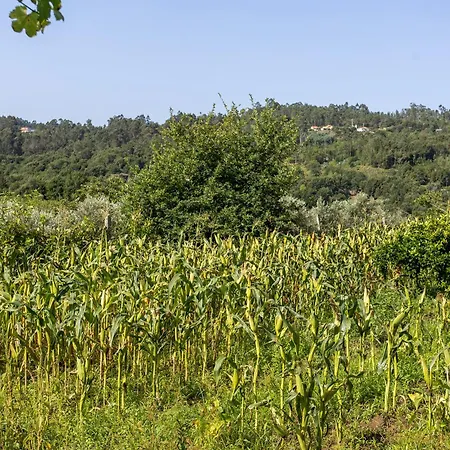Quinta Da Comenda - Casa Da Tuia *