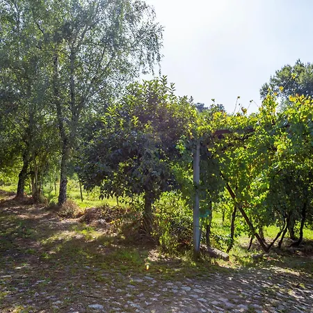 Quinta Da Comenda - Casa Da Tuia Tatil Evi *